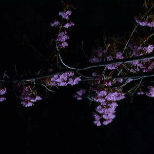 体育生自慰喷浆Gay学长
