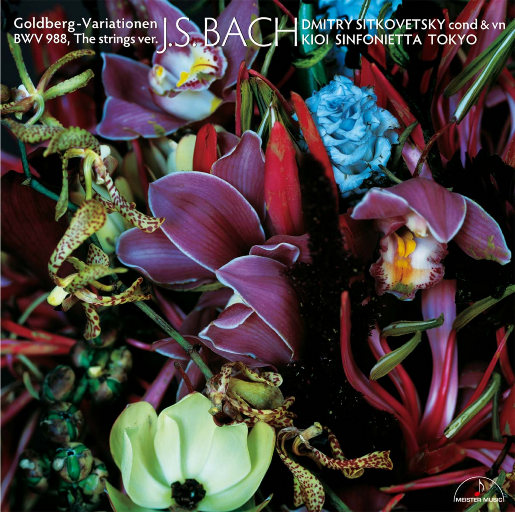 体育生自慰喷浆Gay学长
